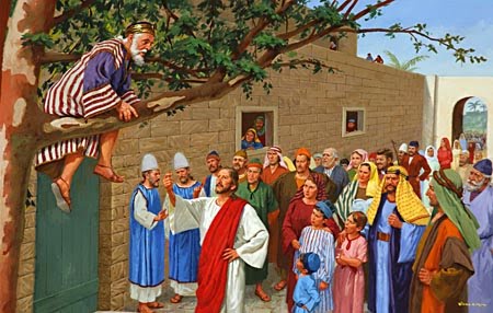 Image result for images Zacchaeus